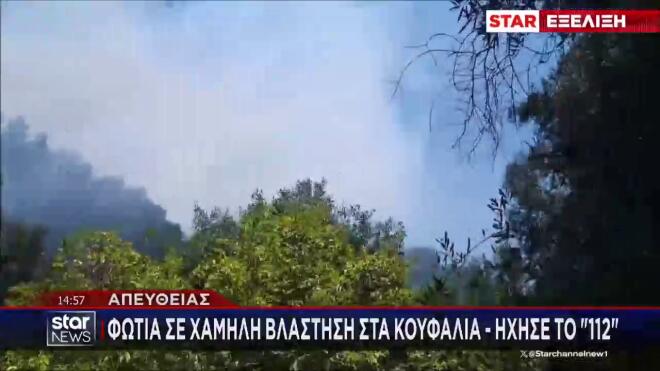 Φωτιές σε εξέλιξη στα Κουφάλια Θεσσαλονίκης και την Κέρκυρα
