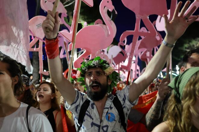 Το κίνημα είναι γνωστό ως «Επανάσταση των Ροζ Φλαμίνγκο», από τα αποδημητικά πουλιά που φιλοξενούνται στην προστατευόμενη περιοχή όπου σχεδιάζεται η επένδυση/ AP Photo/Hameraldi Agolli