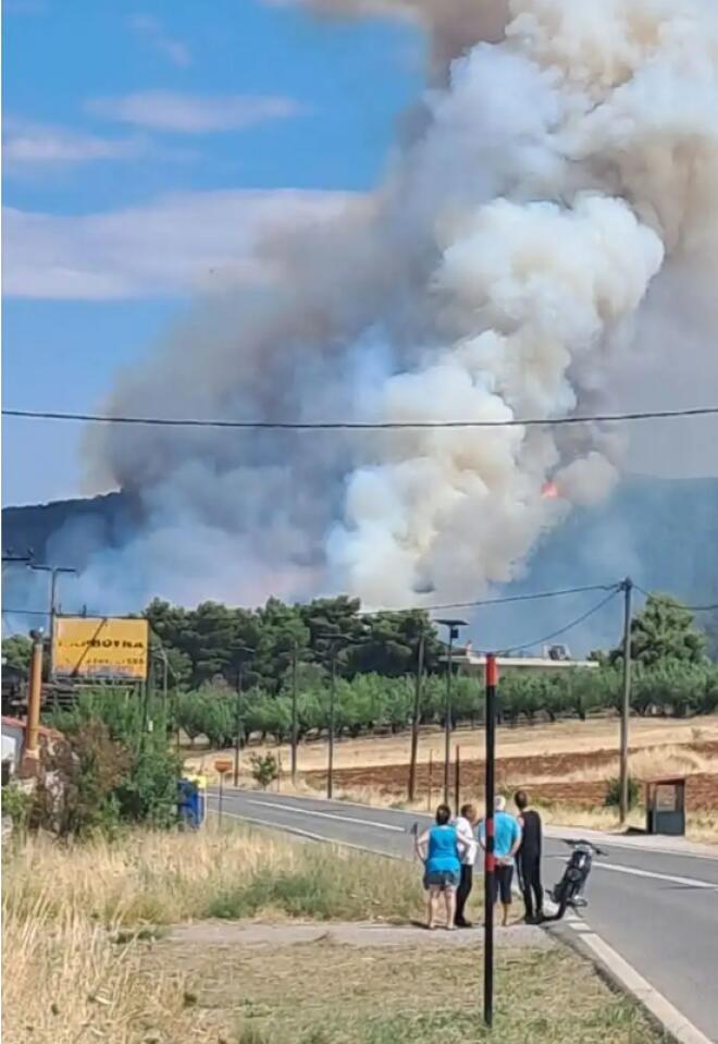 Φωτιά τώρα στην Οινόη Αττικής