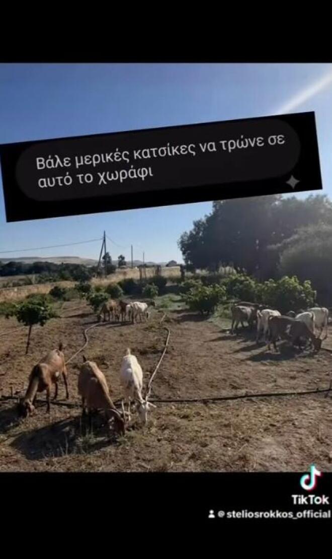 Η Λελέ Γκόφα τρόλαρε τον Στέλιο Ρόκκο: Η επική αντίδραση του τραγουδιστή