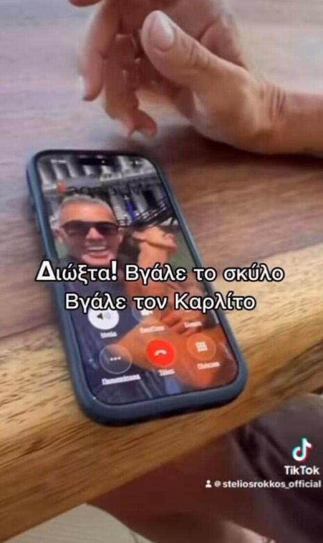 Η Λελέ Γκόφα τρόλαρε τον Στέλιο Ρόκκο: Η επική αντίδραση του τραγουδιστή