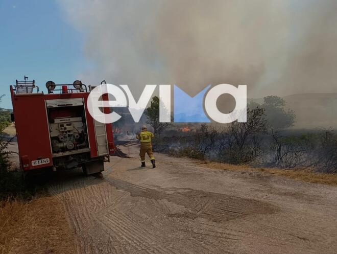 Συναγερμός στην πυροσβεστική από φωτιά στο Αλιβέρι