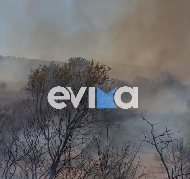 Φωτιά Αλιβέρι Εύβοιας