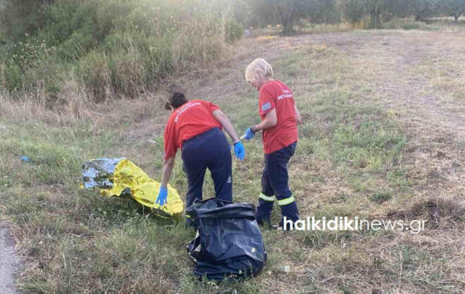 Τροχαίο Χαλκιδική