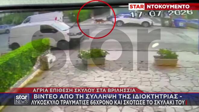 Βριλήσσια: Η στιγμή που απομακρύνουν τον σκύλο από το σημείο της επίθεσης