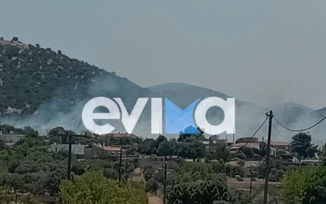 Φωτιά στο Αλιβέρι της Εύβοιας και μήνυμα από το 112