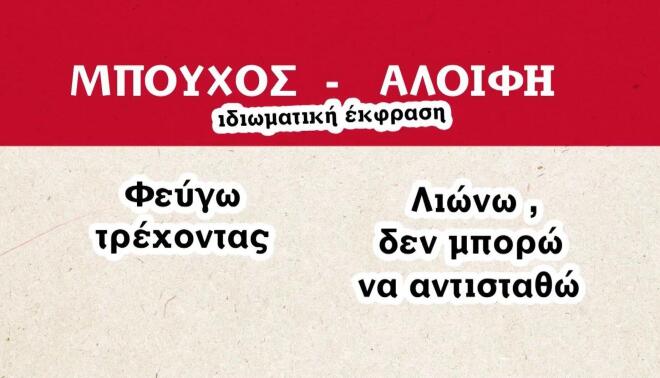 First Dates: Μπουχός ή αλοιφή; Εσύ τι από τα δύο θα γινόσουν;