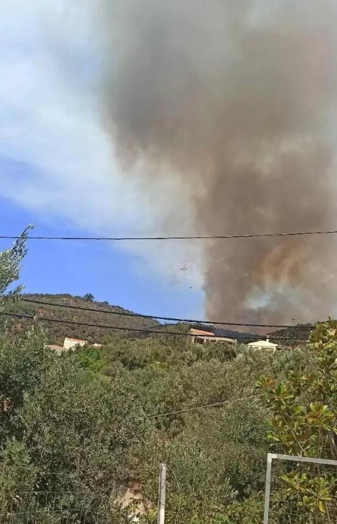 Φωτιά Πλωμάρι