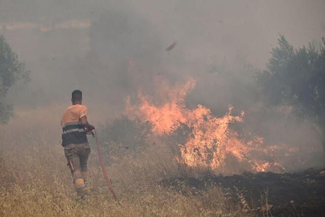 Μάχη με τις φλόγες στη Βοιωτία 