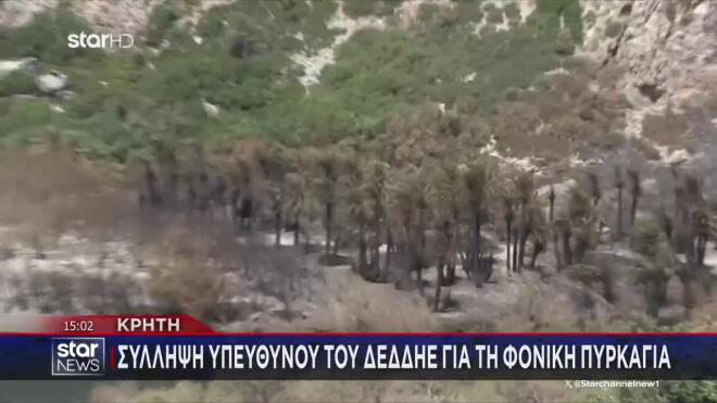 Αποκλειστικό Star: Οι κολώνες της ΔΕΗ που οδήγησαν στην τραγωδία στην Κρήτη