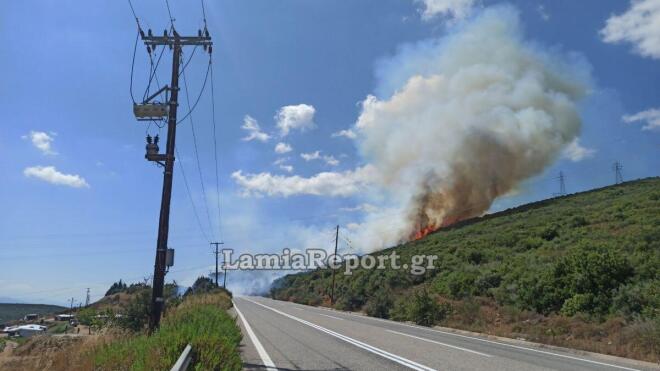 H φωτιά στην Καμηλόβρυση Φθιώτιδας 