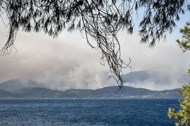 Πυρκαγιά στη Φωκίδα