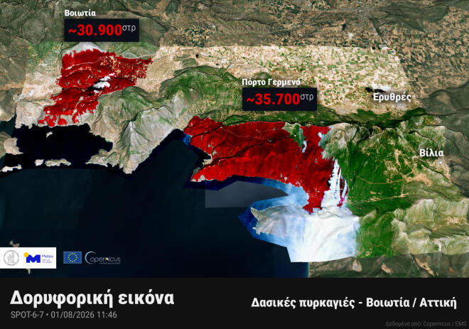 Φωτιά Βοιωτία: Πόσα στρέμματα κάηκαν