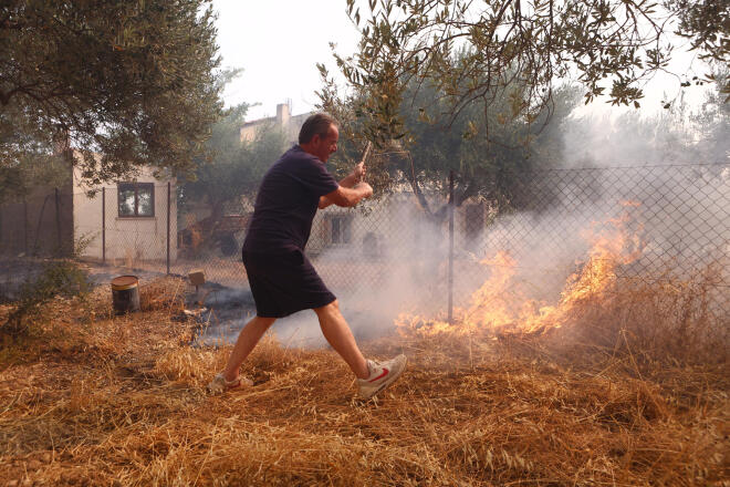 Βένιζα Μεγάρων