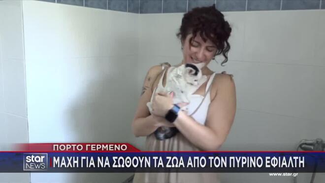 Φωτιά Πόρτο Γερμενό: Δεκάδες ζώα σώθηκαν από τις φλόγες