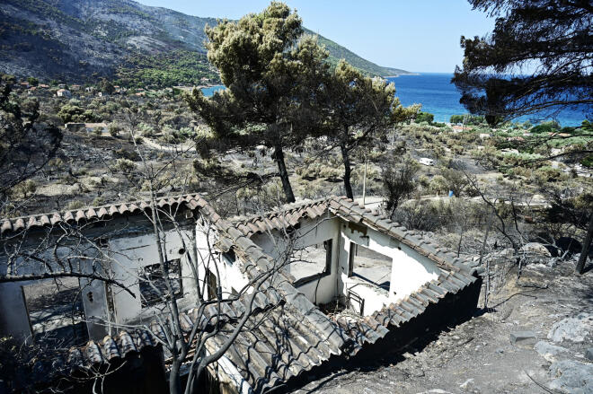 ψίες θα ξεκινήσου άμεσα για να δωθούν οι πρώτες αποζημειώσεις - Eurokinissi