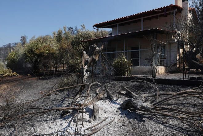 Στην κατάσβεση συμμετείχαν πυροσβέστες από τη Ρουμανία και τη Γαλλία