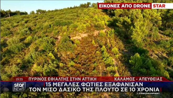 Η εικόνα από το drone του Star του δάσους που κάηκε στον Κάλαμο