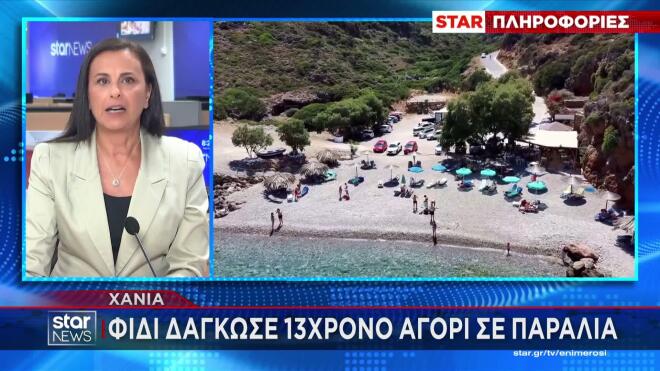 Χανιά: Φίδι δάγκωσε 13χρονο σε παραλία