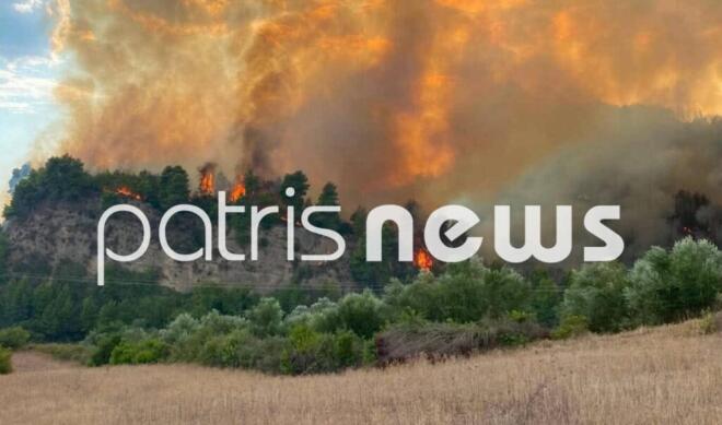 Μεγάλη φωτιά στο Μουζάκι Ηλείας - Επιχειρούν 105 πυροσβέστες και 9 εναέρια