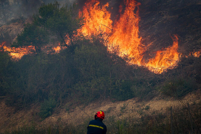 Η φωτιά στη Χαλκιδική φαίνεται ότι ξεκίνησε από δέντρο που έπεσε πάνω σε καλώδια ηλεκτροδότησης λόγω των ισχυρών ανέμων - Eurokinissi