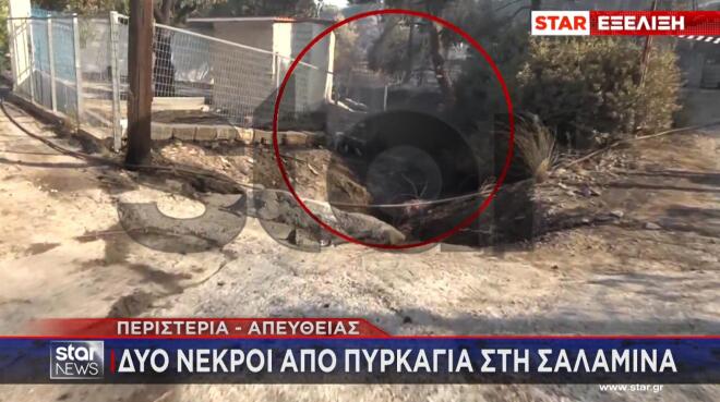 Σαλαμίνα