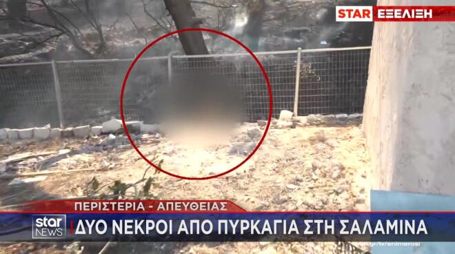 Σαλαμίνα