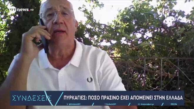 Πυρκαγιές: Πόσο πράσινο έχει απομείνει στην Αττική - «Ξεμένουμε από δάση»