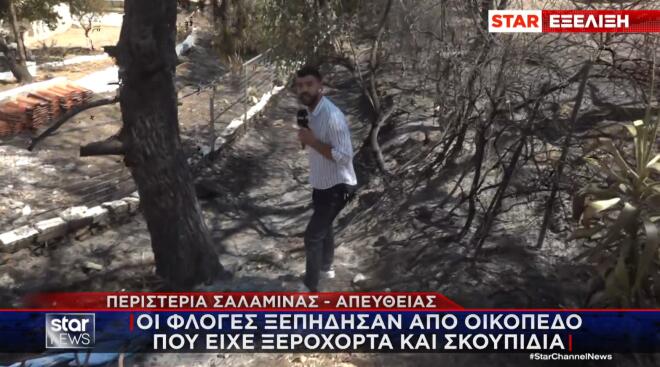Τη ζωή σε δύο ανθρώπους στοίχισε η φονική πυρκαγιά που ξέσπασε χθες σε δύο μέτωπα - στα Περιστέρια και στα Σελήνια - στη Σαλαμίνα.