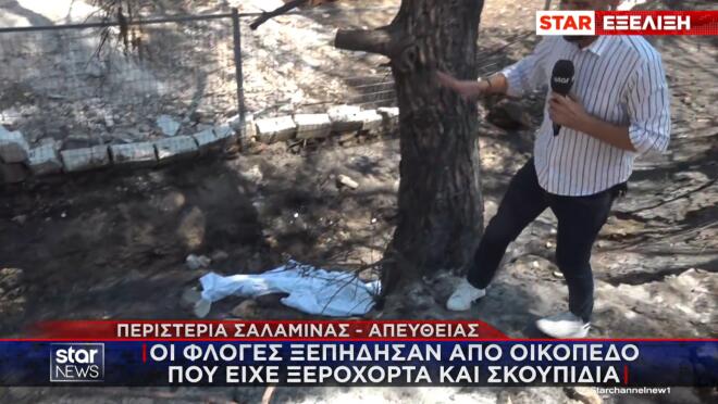 Τη ζωή σε δύο ανθρώπους στοίχισε η φονική πυρκαγιά που ξέσπασε χθες σε δύο μέτωπα - στα Περιστέρια και στα Σελήνια - στη Σαλαμίνα.