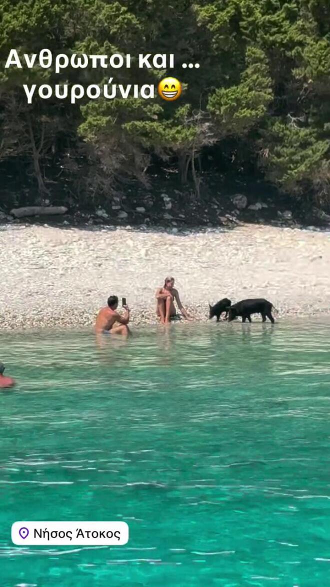 Γιώργος Λιάγκας - Το σχόλιο από την Άτοκο: «Άνθρωποι και γουρούνια».