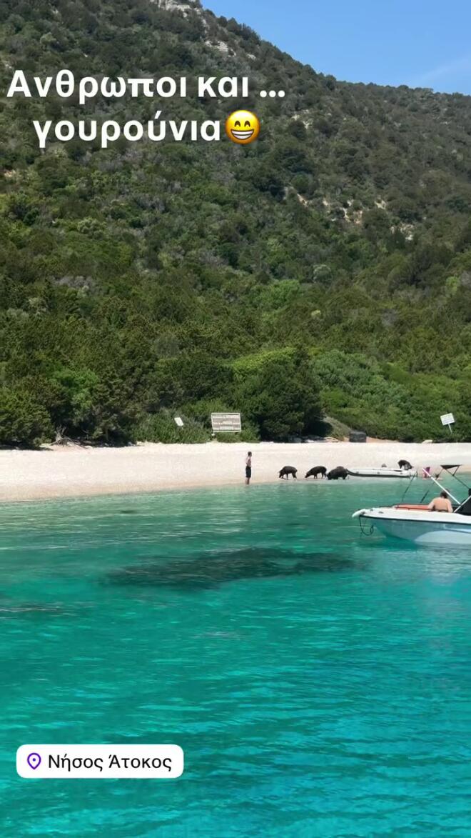 Γιώργος Λιάγκας - Το σχόλιο από την Άτοκο: «Άνθρωποι και γουρούνια».
