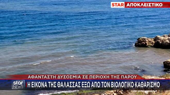 Πάρος δυσοσμία