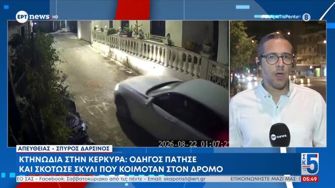 Κέρκυρα: Στον εισαγγελέα οδηγός που πάτησε & σκότωσε σκύλο που κοιμόταν