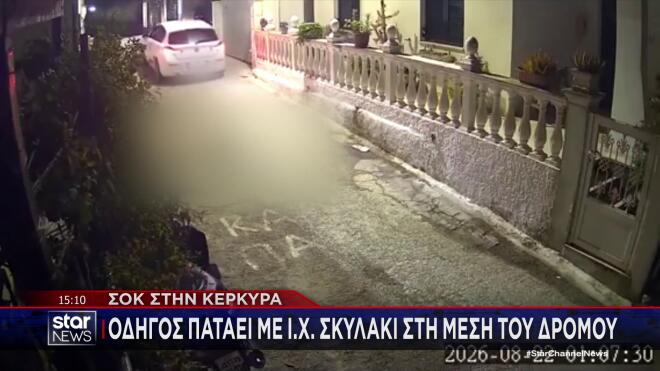 Κέρκυρα: Eλεύθερη η οδηγός που σκότωσε το σκυλάκι- Τι ισχυρίστηκε