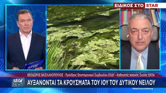Ιός Δυτικού Νείλου: Νέες περιοχές με κρούσματα - Γιατί αυξήθηκαν φέτος