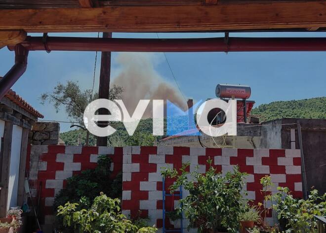 Φωτιά τώρα στην Εύβοια