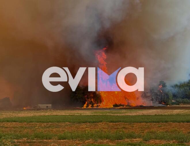 Πυρκαγιά στην Εύβοια