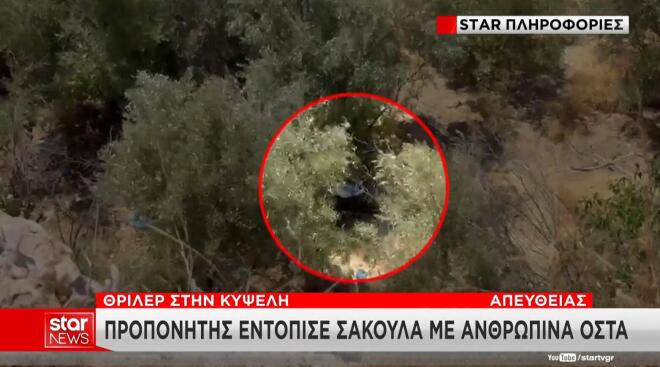 Κυψέλη οστά σε σακούλα