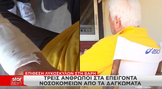 σκυλιά Βάρη