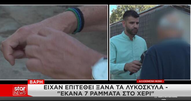 τα δύο σκυλιά σκορπούσαν τον τρόμο στη γειτονιά της Βάρης.