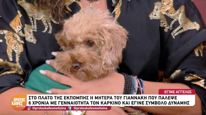 Το σκυλάκι που έγινε ο πιστός φίλος του και δίνει κουράγιο στην οικογένεια