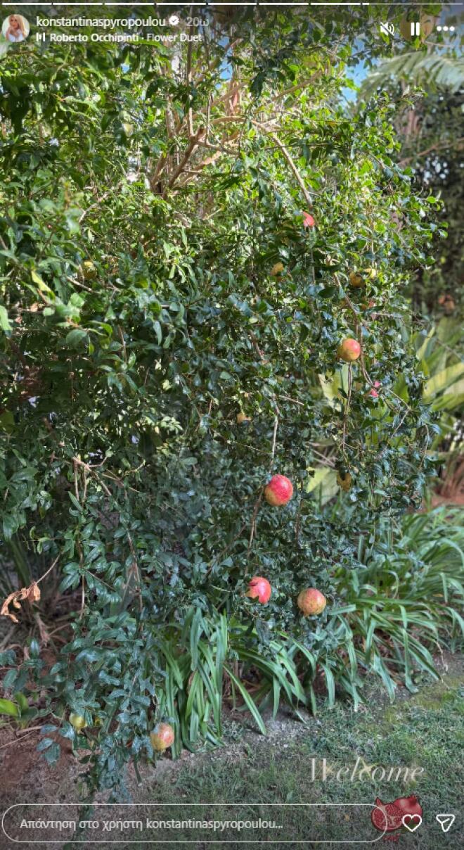 Η Κωνσταντίνα Σπυροπούλου στον καταπράσινο κήπο του σπιτιού της