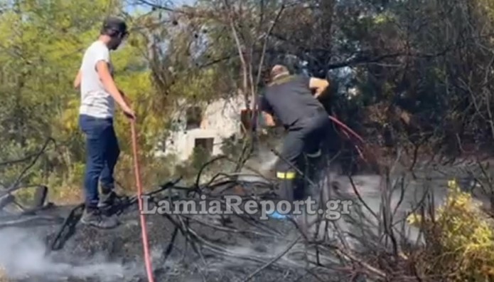Φθιώτιδα: Φωτιά σε οικισμό στον Θεολόγο