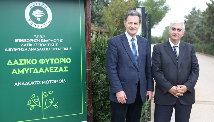 Motor Oil: Με το βλέμμα στραμμένο στην έμπρακτη προστασία των δασών