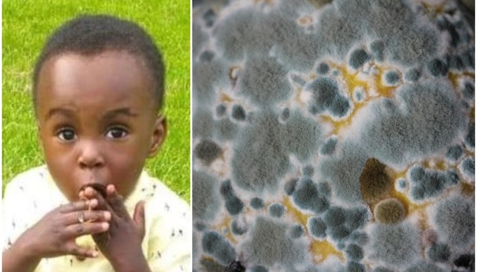 Βρετανία: Δραστικά μέτρα για τη μούχλα στα σπίτια μετά τον θάνατο αγοριού