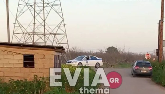 Εύβοια: Νεκρή γυναίκα σε τροχαίο