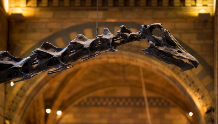 Μουσείο δεινόσαυρος