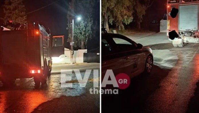 κάψιμο σκύλου Πυροσβεστική