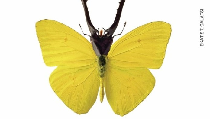 Έκθεση Hybrids: 8 έργα-πρότζεκτ